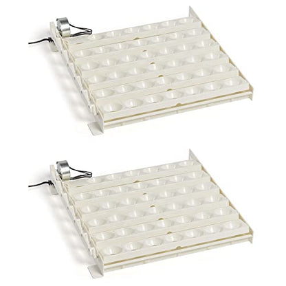 Farm Innovators 3200 Automatic 41 Spot Egg Turner for the Bottom of Incubators to Eliminate Manual Handling and Improve Hatching Rate, White (2 Pack) - size: 2 Pack