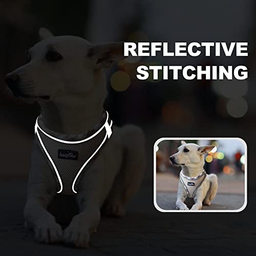 haapaw Dog Harness with Leash Set, No Pull Adjustable Reflective Step-in Puppy Harness with Thickened Padded Vest for Extra-Small/Small Medium Dogs - color: Beige, size: S