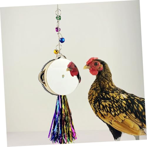 GALPADA Chicken Toy Mirror Drum for Hens Roosters Stainless Steel Double-Sided Design Hanging Pet Mirror for Poultry Play Promotes Activity Reduces Loneliness