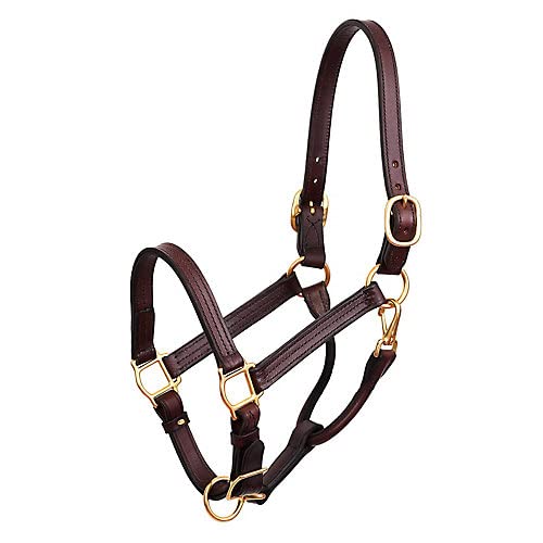 Perri's Premium 1-Inch Leather Show Halter, Cob - color: Havana