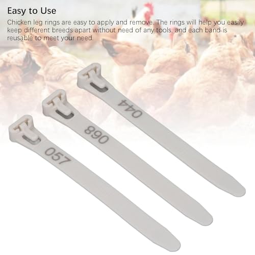 Tissting 1-100 Numbered Poultry Leg Bands, Reusable Chicken ID Rings for Ducks Chicks Geese Pigeons Easy Identification Tracking Management (White) - color: White