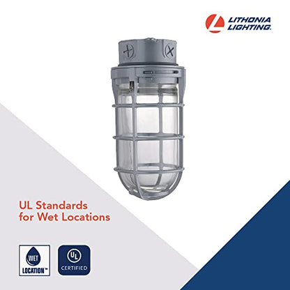 Lithonia Lighting Jelly Jar Light Fixture, Incandescent Utility Vapor Tight Ceiling Lamp, Industrial Style Wall Light for Indoor and Outdoor Use, 150W, 120V, Includes Junction Box, Grey (VC150I M12) - size: 150W Max (Pack of 12), style: Ceiling Mount