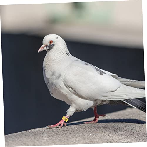 100pcs Bird Pigeons Leg Rings Poultry Leg Bands Meat Pigeon Anklet Easy Clip Rings - color: Yellow