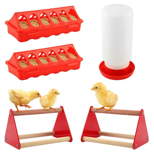 5-Pack Chick Feeder and Waterer, Baby Poultry Starter Set with 2 Feeder Troughs, 1L Waterer & 2 Wooden Perches, Small Chick Brooder Accessories for Chicken, Duck & Quail