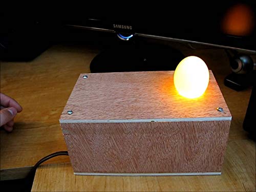 Egg Candler Tester Plans - Build Your Own Ovoscope for Hatching Eggs