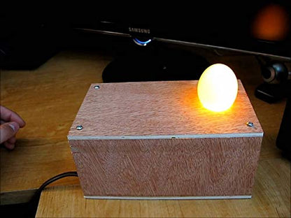 Egg Candler Tester Plans - Build Your Own Ovoscope for Hatching Eggs