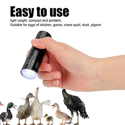Egg Candler, Cool Light Portable Egg Candling Lamp with High Intensity Light for Chicken, Goose, Duck, Eggs, Incubation Learning (Red) (Blue (0.6mm Thickness)) (Black)