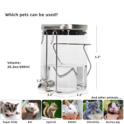 Guinea Pig Water Bottle No Drip, Rabbit Glass Waterer, Chinchilla Stainless Steel Nozzle Anti-Bite Water Dispenser for Small Animal, Bunny, Hamster, Sugar Glider and Rat(20.2oz)