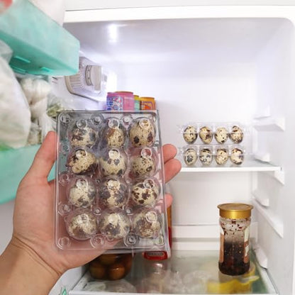 200 Pack Quail Egg Cartons, Clear Plastic Quail Egg Trays, Holds up to 12 Quail Eggs Securely - Your Ultimate Small Eggs Carton Holders for Bulk Storage and Display - size: 200 Pack Quail Egg Cartons 12 Grids