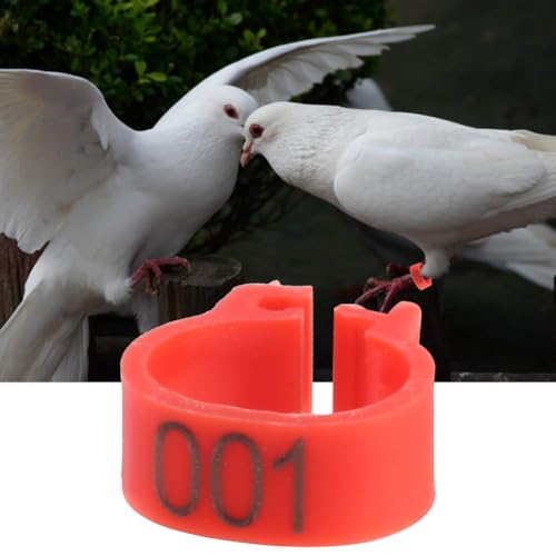 100Pcs Pigeons Leg Ring, 8mm 001-100 Numbered Plastic Poultry Leg Bands Clip on Leg Rings for Bird Dove Finch Lovebird Quail(Red) - color: Red