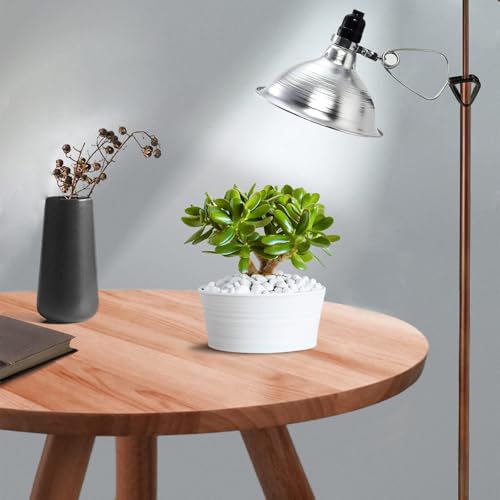 EP Clamp Lamp Light with Detachable 8.5 Inch Aluminum Reflector, 150 Watt E26 Socket (No Bulb Included), 6 Foot 18/2 SPT-2 Cord Cord, 1 Pack - size: 6