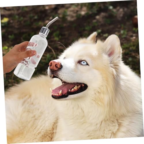 Yardwe Squirrel Pet Drinking Water Feeder Stainless Steel Automatic Dispenser for Small Animals Like Hamster Chinchilla Guinea Pig Easy to Install Leakproof