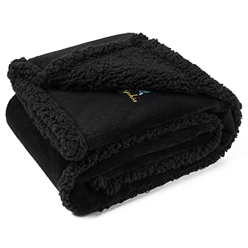 Luciphia Waterproof Pet Blanket, Liquid Pee Proof Dog Blanket for Sofa Bed Couch, Reversible Sherpa Fleece Furniture Protector Cover for Small Medium Large Dogs Cats, Black Thicken Large（65" x 57"） - color: Black-thicken, size: L (65" x57")