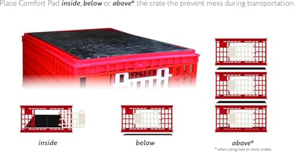 RentACoop Poultry Carrier Crate (Pack of 1) 29" L x 22" W x 12" H for Chickens