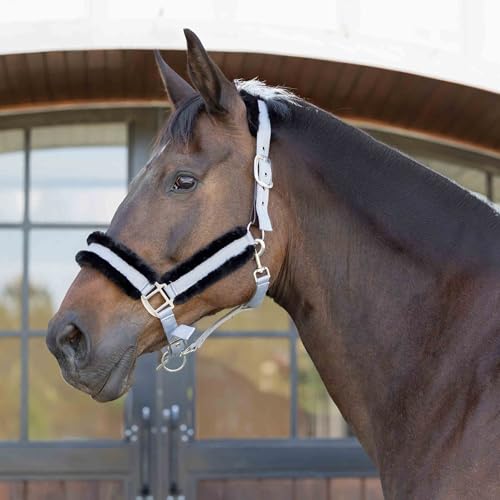 Equinavia Valkyrie Ultra Fleece Soft Padded Horse Halter Breakaway | Adjustable Break Away Halter for Horses, Nylon Webbing Design, Soft Breakaway Halters for Horses, Safety Release for Handling - color: Slate Grey/Black, size: Horse