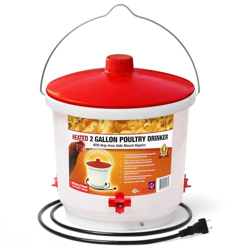 Farm Innovators Heated Waterer with Lid, 60W Hanging Water Dispenser - 2 Gallon Poultry Drinker Bucket with Red Top for Chickens, Turkeys, and Geese - color: White, size: Single
