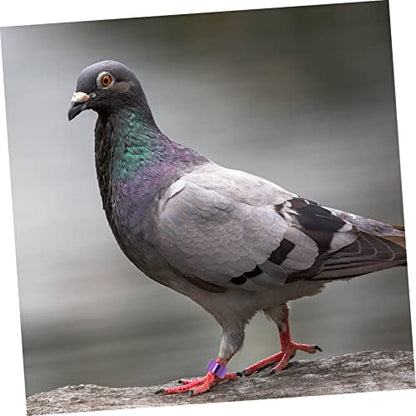 Happyyami 18pcs Bird Leg Bands Pigeon Foot Bands Aluminum Material Bright Identification Rings for Pigeons Birds Random Color