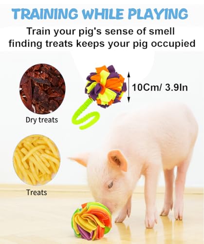 Snuffle Ball with Handle for Pigs– Pig Enrichment Toys for Mini Pigs, Potbellied Pigs & Farm Use – Interactive Foraging & Rooting Toy, Slow Feeding Pig Toys Accessories