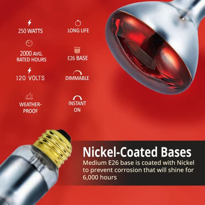 250 Watts R40 Red Heat Lamps Outdoor Bulbs for Pets Flood Light Bulb for Chickens Infrared Reflector 250W R40 Incandescent Medium E26 Base 2 Pack - style: 250W/R40/RED/2PK