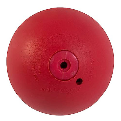 JW Squeak-ee Ball Puppy Toy - size: Small