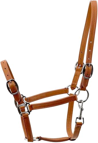 Jeereal 3/4" Soft Leather Horse Halter, Fancy Stitching,Padded Halter with Stainless Steel Hardware,Adjustable Leather Halter for Horses, Equine Tack,Average Size - color: Rich Brown