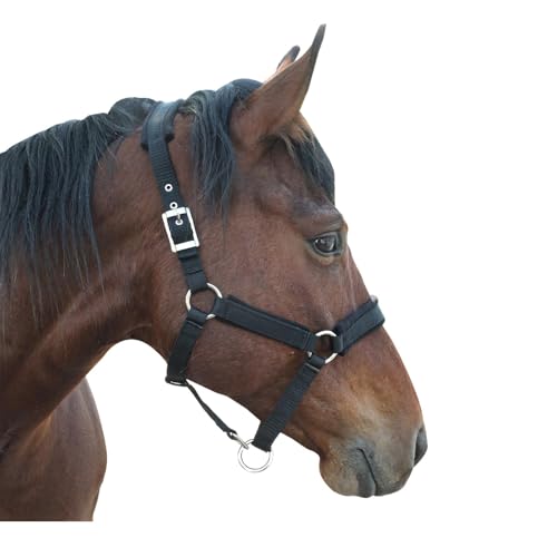 Horse Halter with Wool Lining, Adjustable Halter for Horses Satin Hardware to Prevent Friction, Breakaway Halters for Horses，Fits Pony, Yearling, Draft Horses (Black, M) - color: Black, size: Medium