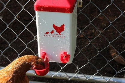 RentACoop 1 Gallon Chicken Waterer with 2 Auto-Fill Cups, Horizontal Nipples and Anti-Roost Cone - Suitable for Chicks, Chickens, Quails, Pigeons and Gamebirds