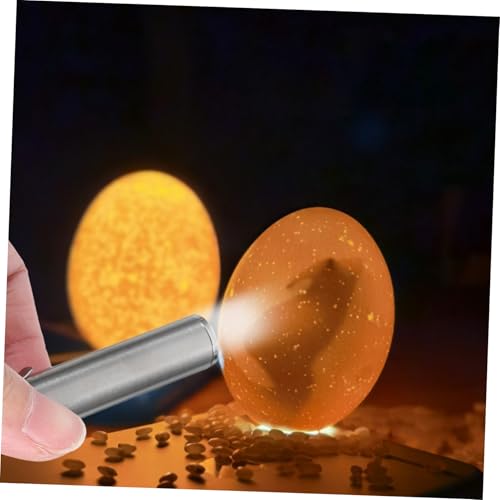 TOYANDONA LED Egg Candler Portable Egg Incubation Tool with Bright for Monitoring Chicken Duck and Bird Eggs Hatching Easy to Use and Carry