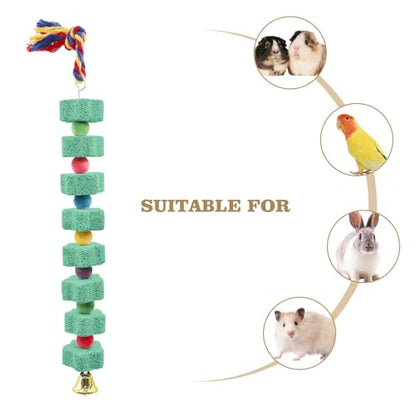 Oooct 2 Pack Large Chicken Chewing Toy, Chick Beak Grinding Calcium Stone with Bells, Chicken Cage Accessories, Cage Toys for Cockatiel Parakeet Parrot Budgies Rat Hamster Rabbit Bunny African Grey - color: Green