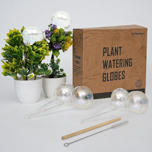 Iridescent Self Watering Globes, Glass Rainbow Plant Watering Globes, Self Watering Planter Insert, Automatic Plant Waterer Indoor (Large-6 Pcs Iridescent, Large) - color: Large - 6 Pcs (Pack of 1)