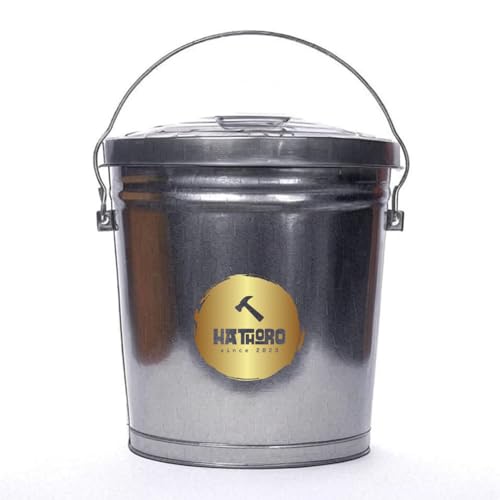 Galvanized Steel Trash Can with Galvanized Locking Lid, for Kitchen, Outdoor, Camping, Multipurpose (Galvanized Steel, 10 Gallon)