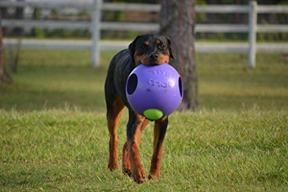 Jolly Pets Teaser Ball Dog Toy, Extra Large/10 Inches, Purple, X - Large/10 Inches (1510 PR) - color: Purple, size: XL (10 in)