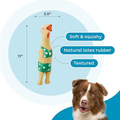 Outward Hound by Charming Pet Squawkers Grandma Hippie Chick Latex Squeaky Rubber Chicken Dog Toy, Funny Interactive Holiday Toy for Dogs, Large Size - color: Grandma Hippie Chick, size: Large
