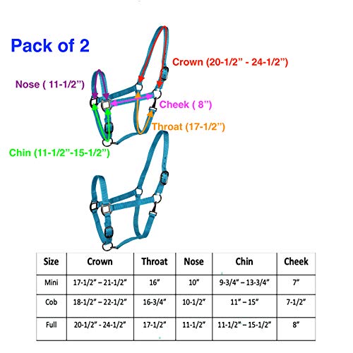 Majestic Ally Pack of 2 Adjustable Halter for Horses–Adjustable Chin and Crown– Sewn-in Throat Snap Hook- Heavy Duty Rose Gold or Black Nickel Finish Hardware–Full - color: Hunter Green