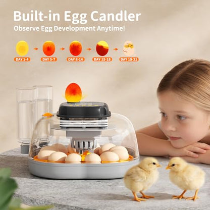 Chicken & Quail Egg Incubator, 12 Egg Incubators for Hatching Eggs, Two Egg Trays, Automatic Egg Turning with Auto Stop, Incubation Day & Period, Auto Refill, Egg Candler, Air Vent, 360° Clear View - size: 12 Eggs + 30 Quail Eggs