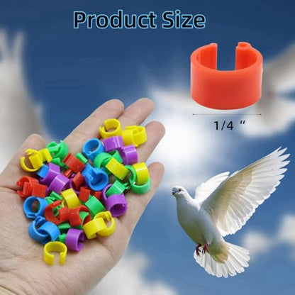 DoubleWood Baby Poultry Leg Bands 1/4" Medium Chick, 200 Pcs Coturnix Quail Leg Bands Baby Chick Leg Bands Pigeon Bands Chicken Leg Bands Rings (Medium 1/4") - size: Medium 1/4"