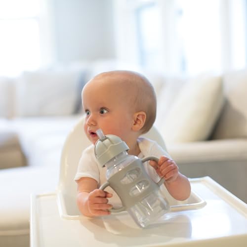 Dr. Brown's Milestones Wide-Neck Sippy Straw Bottle with 100% Silicone Handles and Weighted Straw, 9 oz/270 mL, Gray, 6m+ (Pack of 6) - color: 1-Pack, Gray, size: 1 Count (Pack of 6)