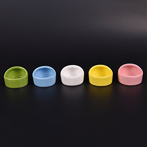 Gradient Side Hamster Ceramic Bowl,Cute Small Animal No Spill No Turnover Food Water Bowl Dish Holder for Guinea Pig Rodent Rat Gerbil Cavy Hedgehog Dwarf Feeder Feeding Bowl Basin,Pet Supplies,White - color: White