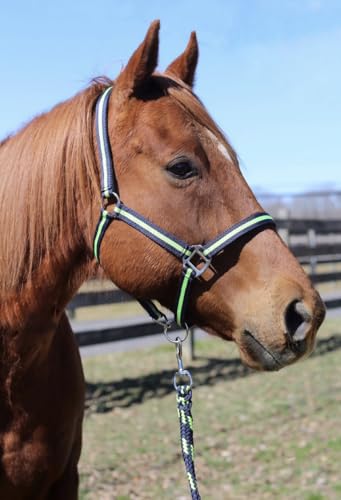 TuffRider Nylon Breakaway Halter & Lead Rope Set | Adjustable Halter for Horses with Lead Rope | Multiple Sizes and Colors - Navy/Neon Green - Horse - color: Navy/Neon Green, size: Horse