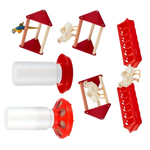 Chicken Feeder and Waterer Set Including Small Perch for Poultry Ducks Quails Pigeons and Birds Chick Starter Set - color: A
