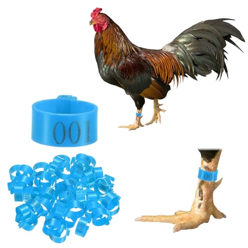 M METERXITY 50-Pack Chicken Leg Bands, 16 mm Plastic Poultry Identification Chicken Leg Rings for Turkey/Duck/Goose/Chicks, Colorful Numbered Foot Clip on Tags [Blue] - color: Blue, size: 16 mm