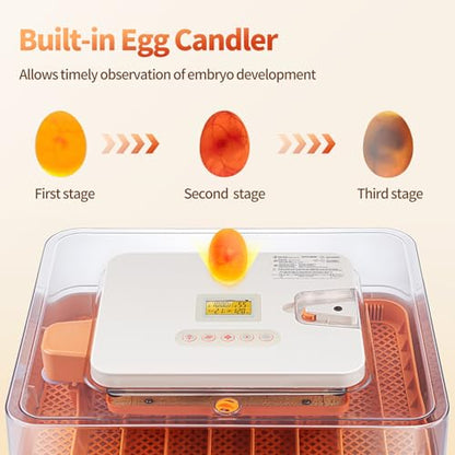 SmarketBuy 56 Egg Incubators for Hatching Eggs, Automatic Egg Turning and Humidity Temperature Control, Egg Candler, 360° Viewing Incubator for Hatching Chicken, Ducks, Goose, Quail