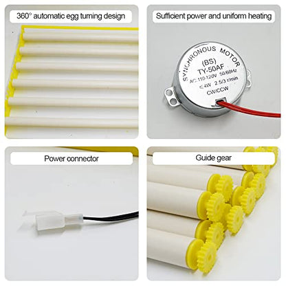 HBtree Automatic Multifunction Incubator Egg Tray Turning Hatcher for Chickens/Ducks/Birds/Poultry（7 Tubes） - color: 7 Tubes