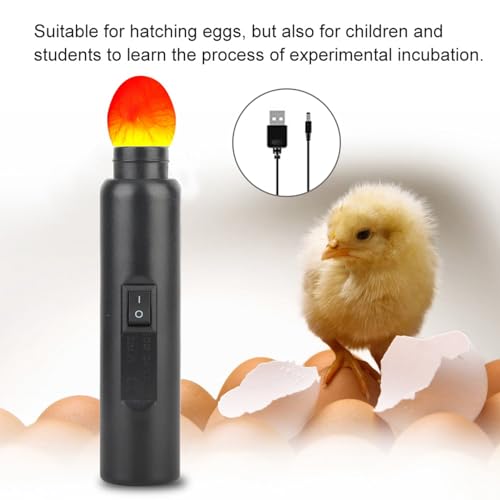 Egg Candler Tester, Auto Mini Lighting Incubator Monitoring Eggs Development LED Light Candling Lamp ABS Insulating Stable Durable USB Powered for Hatching Study