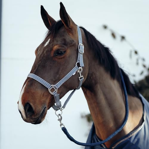 HORZE Munich Adjustable Horse Halter and 7' Lead Rope Set - Reflecting Pond - Horse - color: Reflecting Pond
