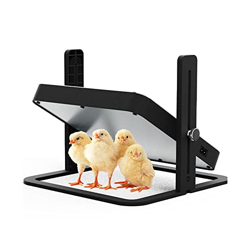 Chick Brooder Heating Plate, 10.8' *10.8'' Safety Warmer Brooder Height and Angle Adjustable for Hatched Chicken and Ducklings