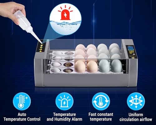 Gpeng Egg Incubator, 24 Eggs Incubator with Digital Display, Auto Egg-Turning, Auto Temperature Control, for Hatching Chicken Goose Pigeon Quail Duck - size: 24-Eggs