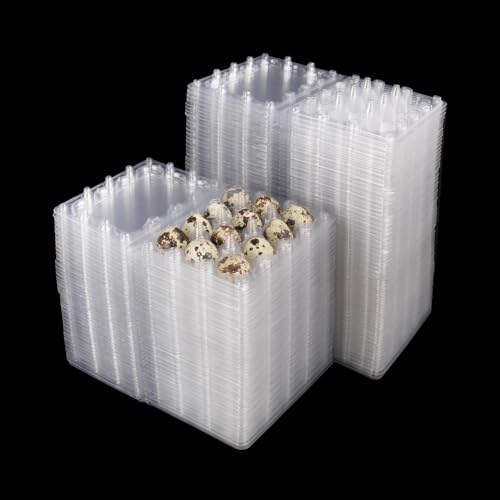 200 Pack Quail Egg Cartons, Clear Plastic Quail Egg Trays, Holds up to 12 Quail Eggs Securely - Your Ultimate Small Eggs Carton Holders for Bulk Storage and Display - size: 200 Pack Quail Egg Cartons 12 Grids