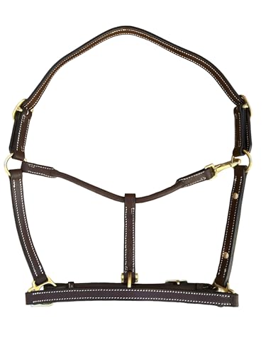 Leaders 3/4" Leather Halter for Horses with Customized Engraved Name Plate Brown Leather with Solid Brass Hardware - size: Small Pony