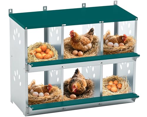 Yafylly Chicken Nesting Box for Laying Eggs, Metal Chicken Laying Boxes Wall Mountable, Easy Egg Collection Roll Away Nesting Boxes, Chicken Coop Nesting Boxes for Hens, 6 Compartments - color: Green, size: 6 Compartment